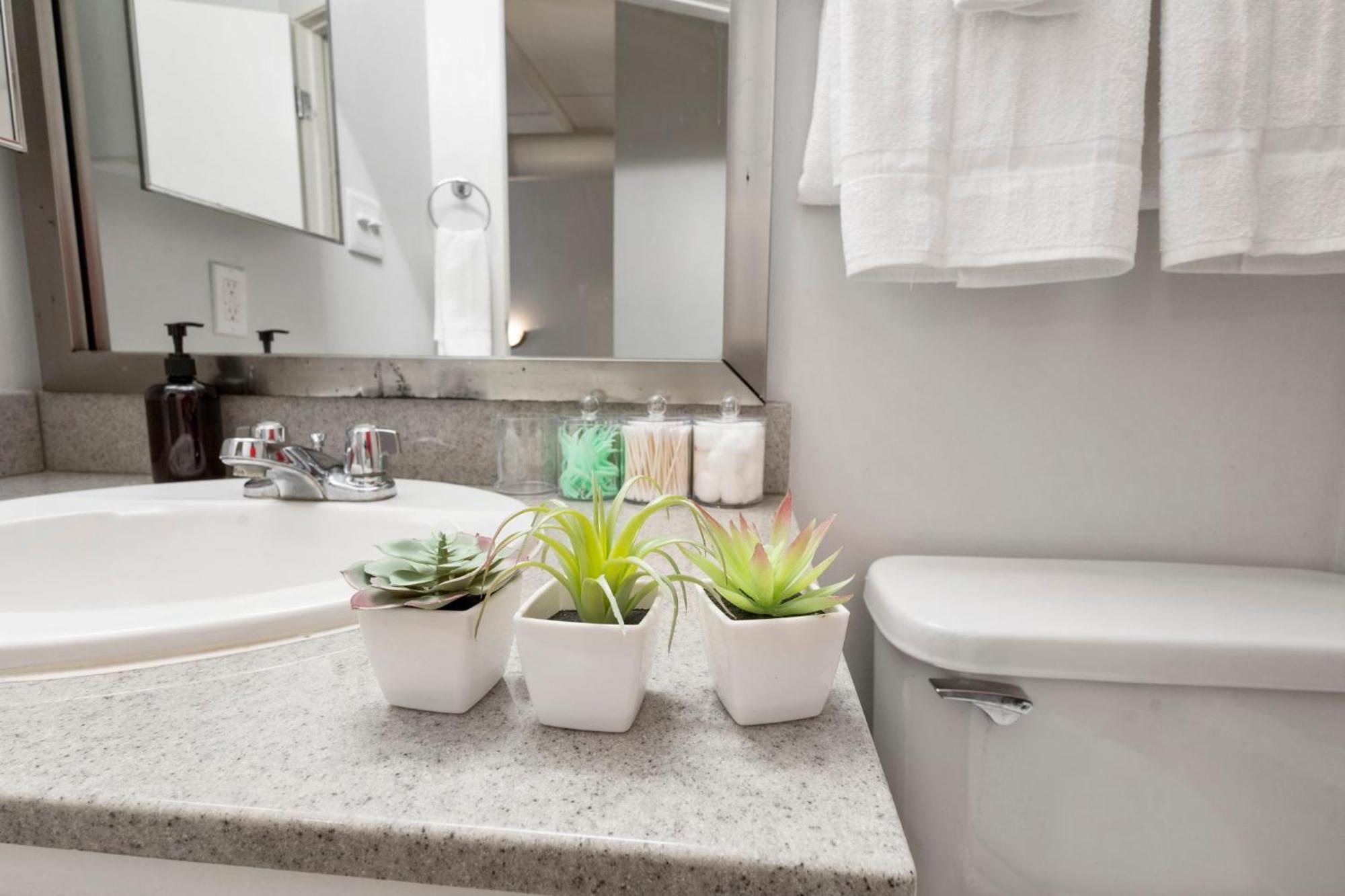 Modern 2br Downtown Indy Skywalk